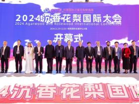 沉香与花梨的盛宴:2024年沉香花梨国际大会圆满落幕