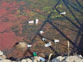 当代人的历史责任——化解人类生存危机的迫切呼唤